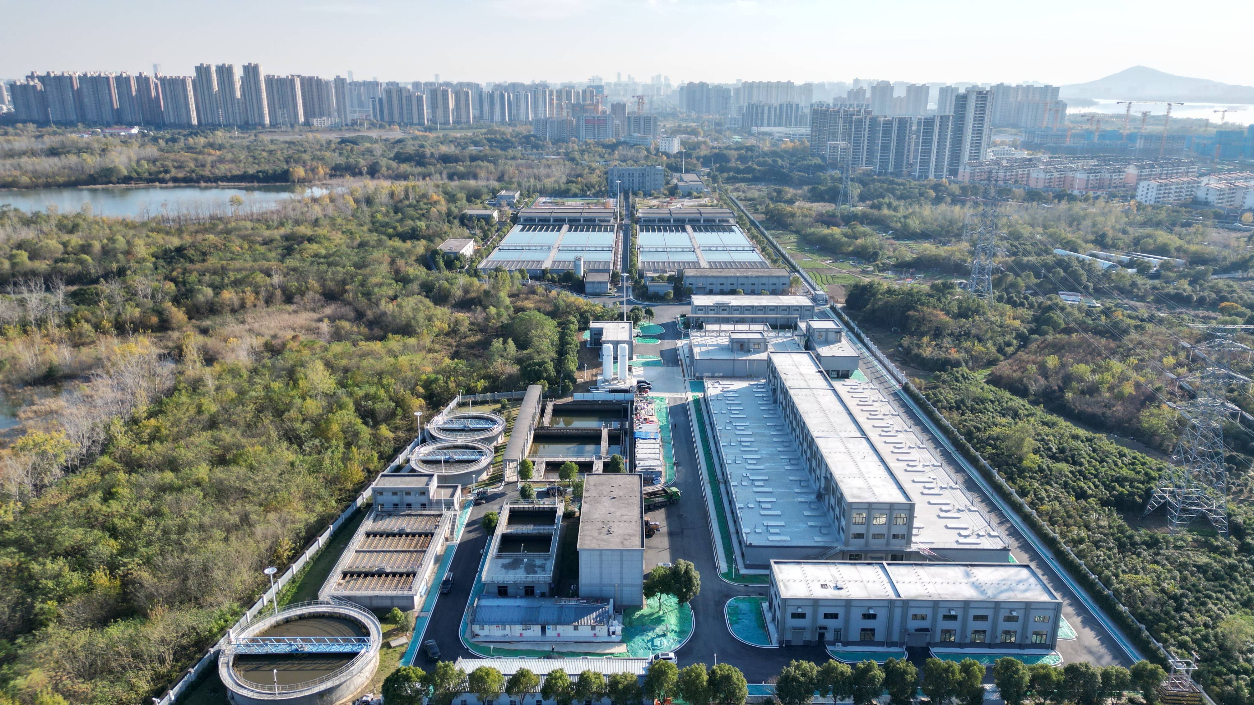 七台河市合肥专业企业价值增长(合肥市重点企业产业目录)