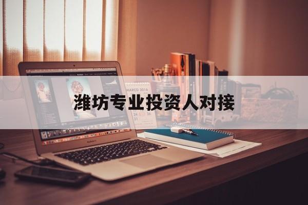 七台河市潍坊专业投资人对接(潍坊专业投资人对接中心)