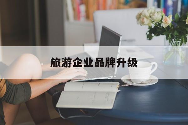 七台河市旅游企业品牌升级(旅游企业品牌升级措施)
