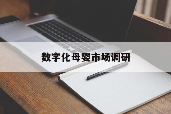 七台河市数字化母婴市场调研(数字化母婴市场调研报告)